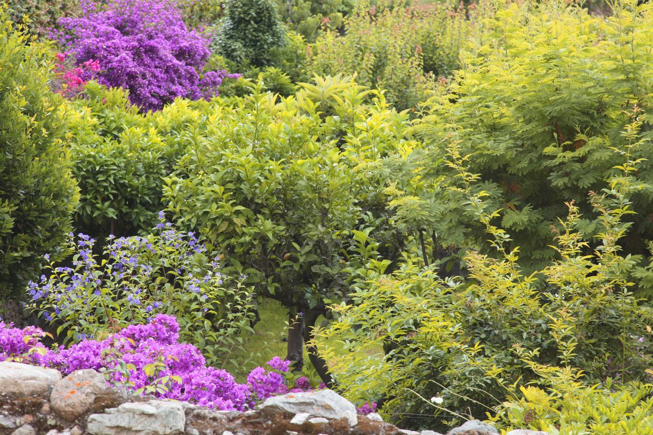 Casa Nobile Bed & Breakfast *